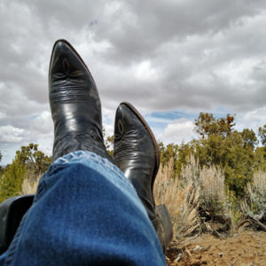 Meet your Posher, Hilton